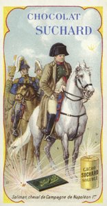 ナポレオンの軍馬ソリマン 作： European School